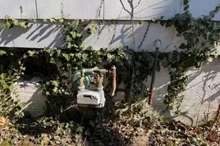 11041 Bernice Ave, Saint Ann, MO 63074 - Photo 17