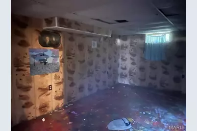 11041 Bernice Avenue, Saint Ann, MO 63074 - Photo 13