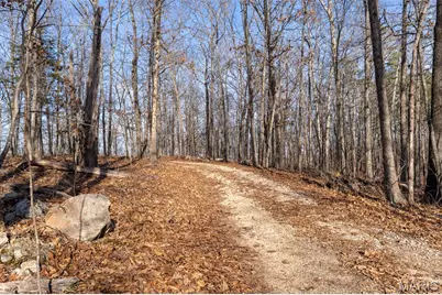 0 County Road 426, Washington, MO 63638 - Photo 17