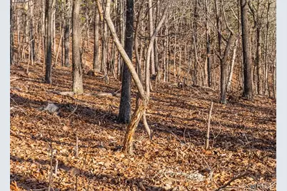 0 County Road 426, Washington, MO 63638 - Photo 3