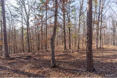 0 County Road 426, Washington, MO 63638 - Photo 15