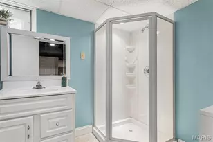 3470 Regal Pl, Saint Louis, MO 63139 - Photo 41