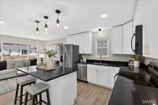 3218 Krem Ave, Saint Louis, MO 63074 - Photo 17