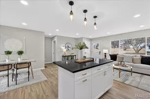 3218 Krem Ave, Saint Louis, MO 63074 - Photo 19