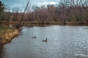 12620 Co Rd 2210, St James, MO 65559 - Photo 27