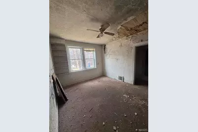 2925 Gasconade Street, Saint Louis, MO 63118 - Photo 7