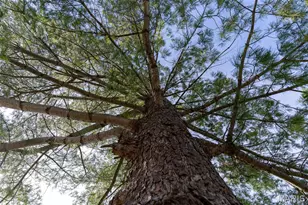 4212 Hueffmeier Rd, Wentzville, MO 63385 - Photo 61