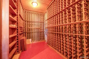 17651 Westhampton Woods Dr, Wildwood, MO 63005 - Photo 41