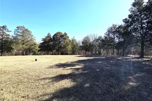 11074 Scorpion Rd, Festus, MO 63028 - Photo 31