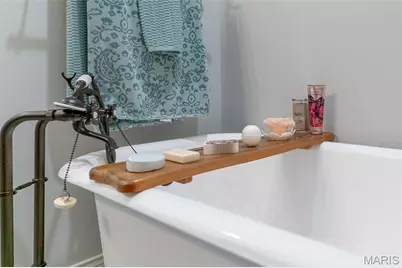 390 Talus Lane, Jackson, MO 63755 - Photo 65