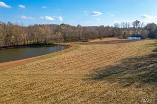 390 Talus Ln, Jackson, MO 63755 - Photo 33