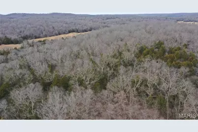 Tbd Upper Janes Creek Road, Ravenden, AR 72459 - Photo 35