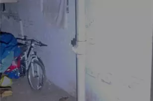 3901 Sherman Pl, Saint Louis, MO 63107 - Photo 19