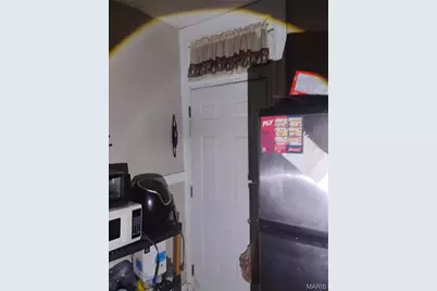 3901 Sherman Place, Saint Louis, MO 63107 - Photo 15