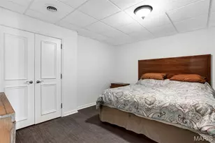 9527 Bent Tree Dr, Hillsboro, MO 63050 - Photo 59