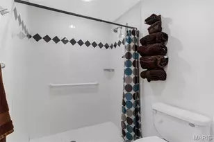 9527 Bent Tree Dr, Hillsboro, MO 63050 - Photo 65