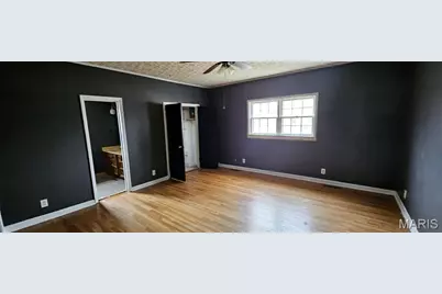217 S Lincoln Street, East Prairie, MO 63845 - Photo 9