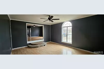 217 S Lincoln Street, East Prairie, MO 63845 - Photo 5