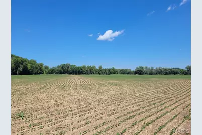 0 Old Cove Rd. (117.6+/- Acres) Road, Saint Clair, MO 63077 - Photo 5