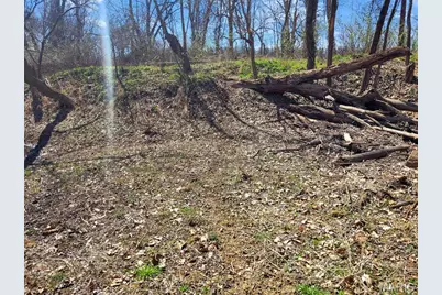 0 Old Cove Rd. (117.6+/- Acres) Road, Saint Clair, MO 63077 - Photo 23