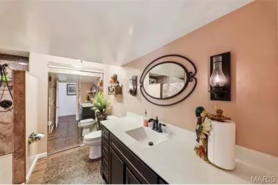 3589 State Route 110, De Soto, MO 63020 - Photo 43