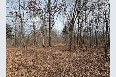 1334 Wayne 366, Piedmont, MO 63957 - Photo 41