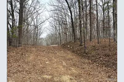 1334 Wayne 366, Piedmont, MO 63957 - Photo 37