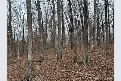 1334 Wayne 366, Piedmont, MO 63957 - Photo 45