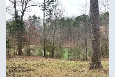 1334 Wayne 366, Piedmont, MO 63957 - Photo 21