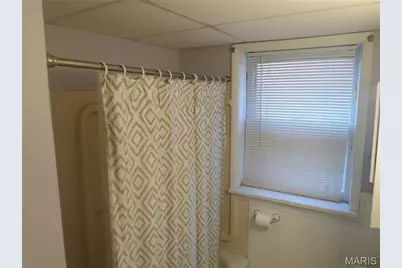 4654 Delor Street, Saint Louis, MO 63116 - Photo 21