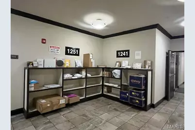 1251 Strassner Drive #2301, Brentwood, MO 63144 - Photo 23