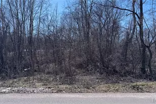 1005 Liberty St, Mineral Point, MO 63660 - Photo 23