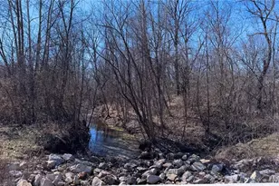 1005 Liberty St, Mineral Point, MO 63660 - Photo 21