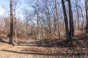 532 Blackberry Path, Arnold, MO 63010 - Photo 27