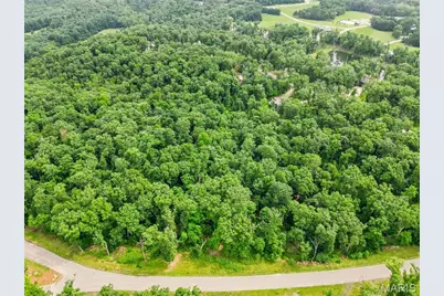 2834 Tyrolean Way Drive, Innsbrook, MO 63390 - Photo 3