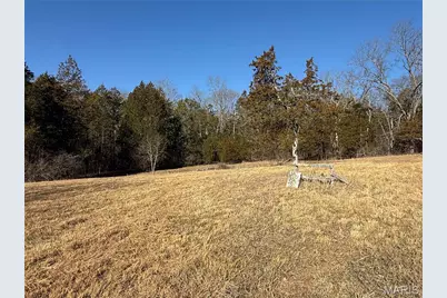 0 47 Highway, Bonne Terre, MO 63628 - Photo 13