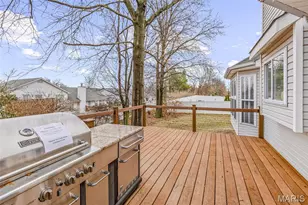 20 Cherokee Sunset Ct Ct, O'Fallon, MO 63366 - Photo 51