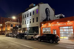 2647 Locust St, Saint Louis, MO 63103 - Photo 27