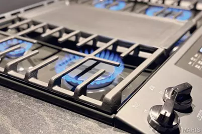 2647 Locust Street #4F, Saint Louis, MO 63103 - Photo 11