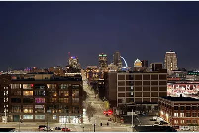 2647 Locust Street #4F, Saint Louis, MO 63103 - Photo 29