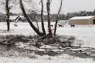 3700 State Rd V, De Soto, MO 63020 - Photo 33