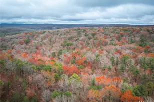 1950 Lake Forest Drive-Tract 1, Park Hills, MO 63601 - Photo 9