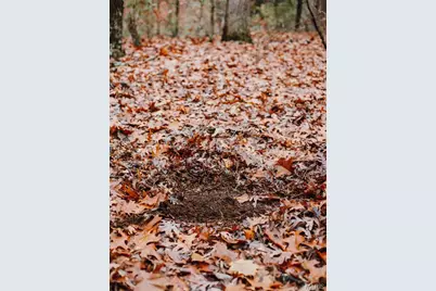 1950 Lake Forest Drive-Tract 1, Park Hills, MO 63601 - Photo 29