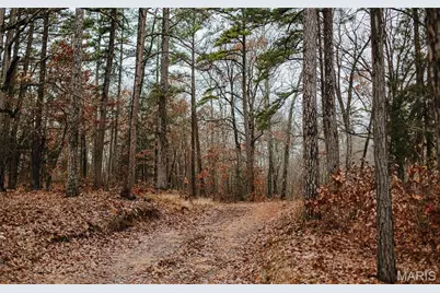 1950 Lake Forest Drive-Tract 1, Park Hills, MO 63601 - Photo 31