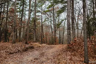 1950 Lake Forest Drive-Tract 1, Park Hills, MO 63601 - Photo 31