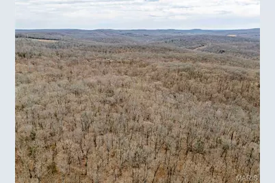 113 E Koester Springs Road, French Village, MO 63036 - Photo 23