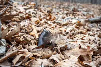 113 E Koester Springs Road, French Village, MO 63036 - Photo 27