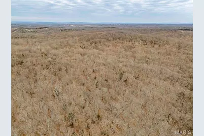 113 E Koester Springs Road, French Village, MO 63036 - Photo 41