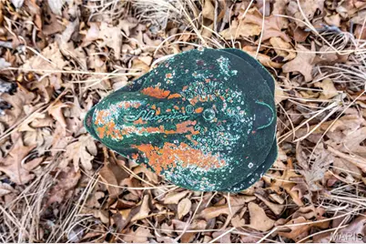 113 E Koester Springs Road, French Village, MO 63036 - Photo 19