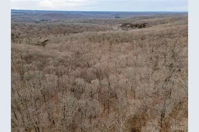 113 E Koester Springs Road, French Village, MO 63036 - Photo 33